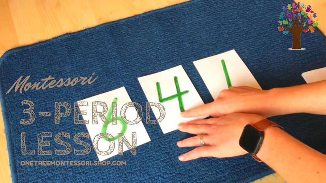 3-Period Lesson