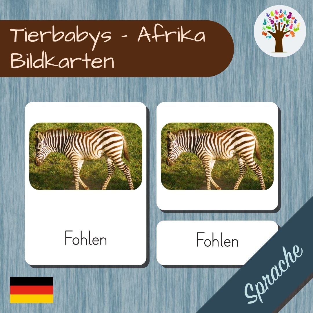 Namibia: Arten von Tierbabys