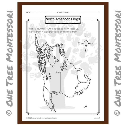 Worksheet: North American Flags - Free for Subscribers