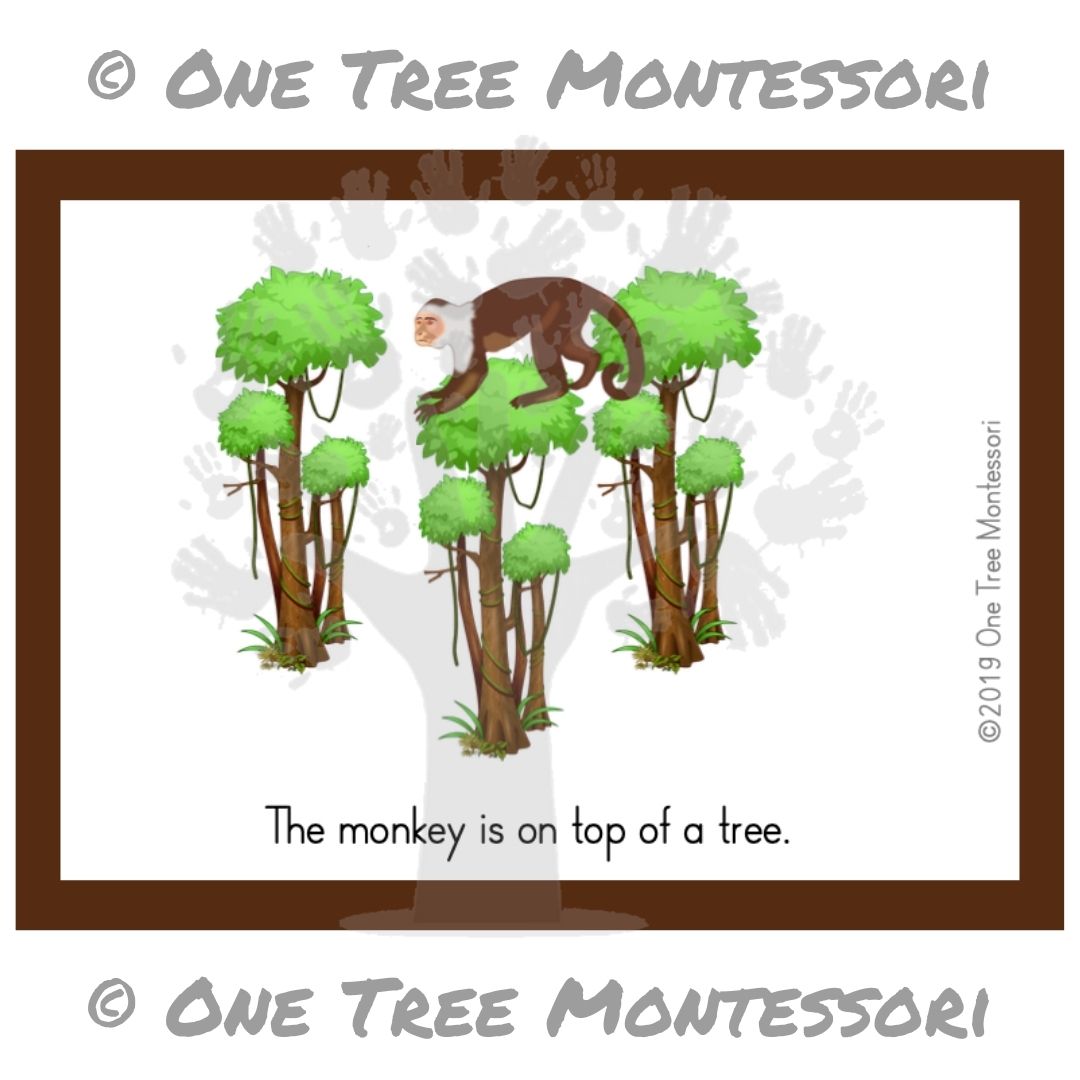 There’s a Monkey in the Tree: Positional Game - Free for Subscribers