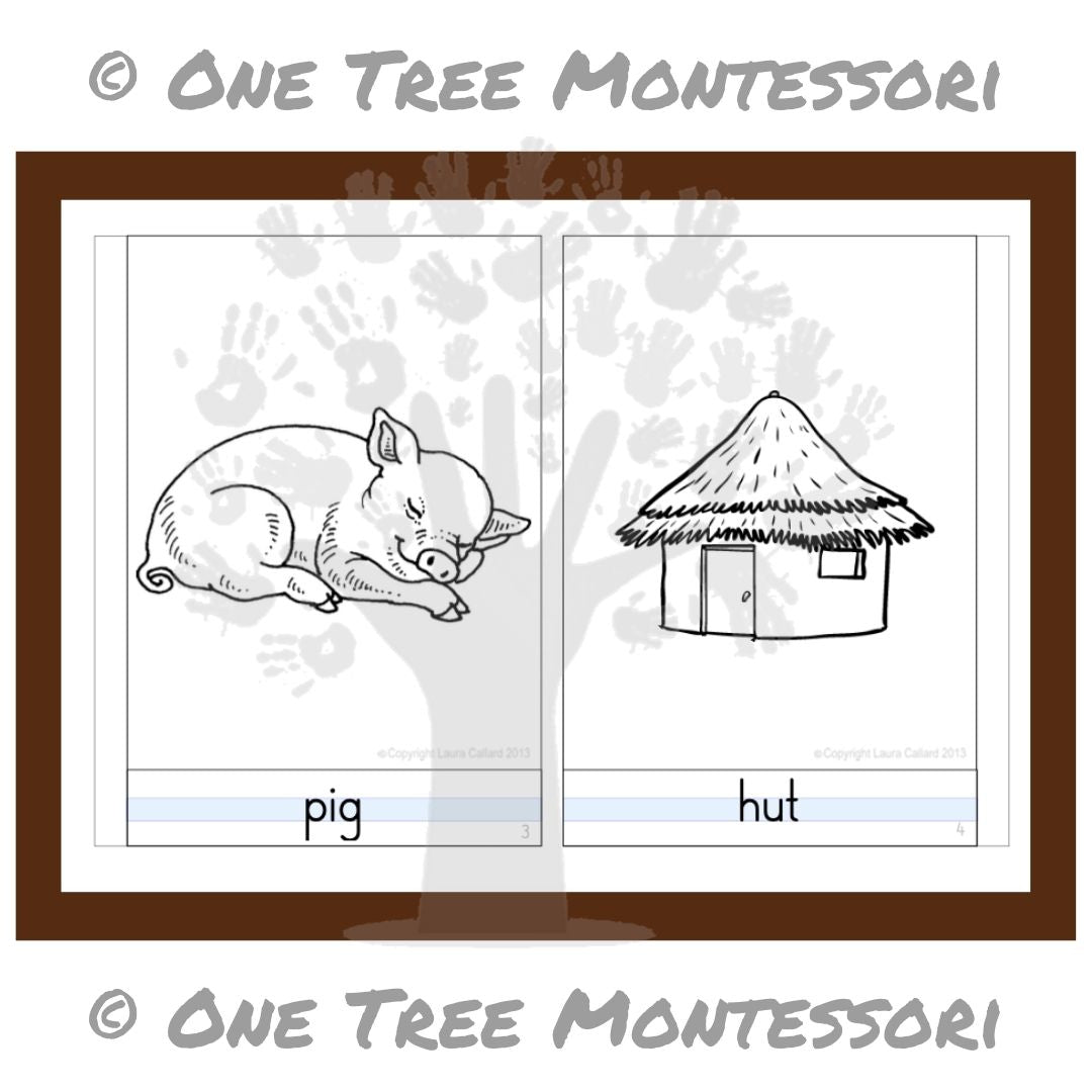 Phonetic Reader 1 - Free for Subscribers