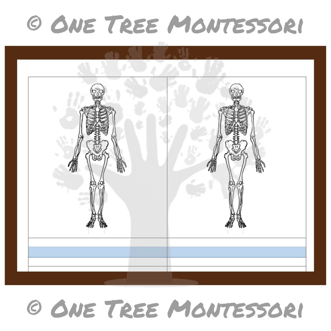 Blank Masters: Skeleton – Kostenlos für Abonnenten