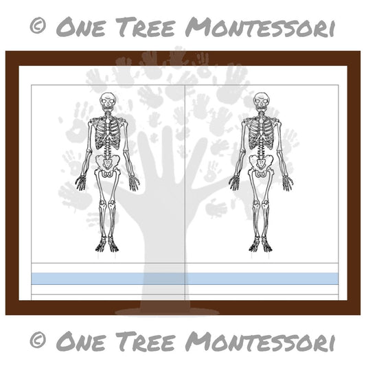 Blank Masters: Skeleton - Free for Subscribers
