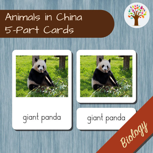 Animals in China