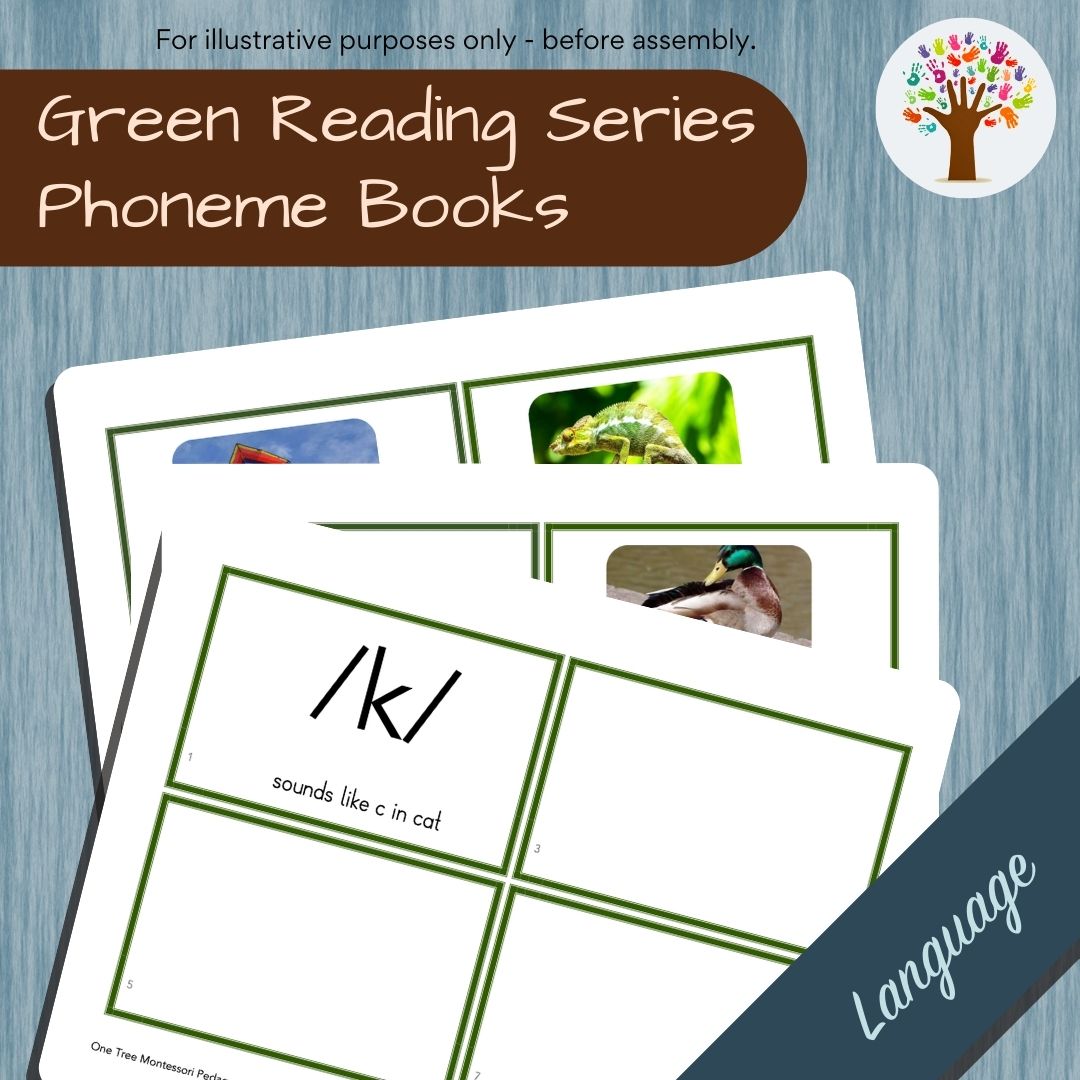 Phonogram Reading: Phoneme Booklets
