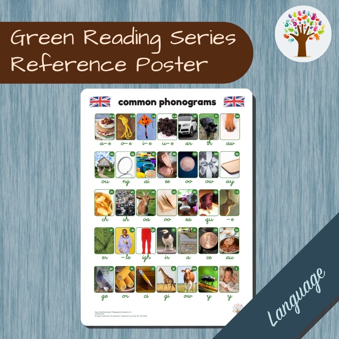 Phonogram Reading: Sounds Reference Poster