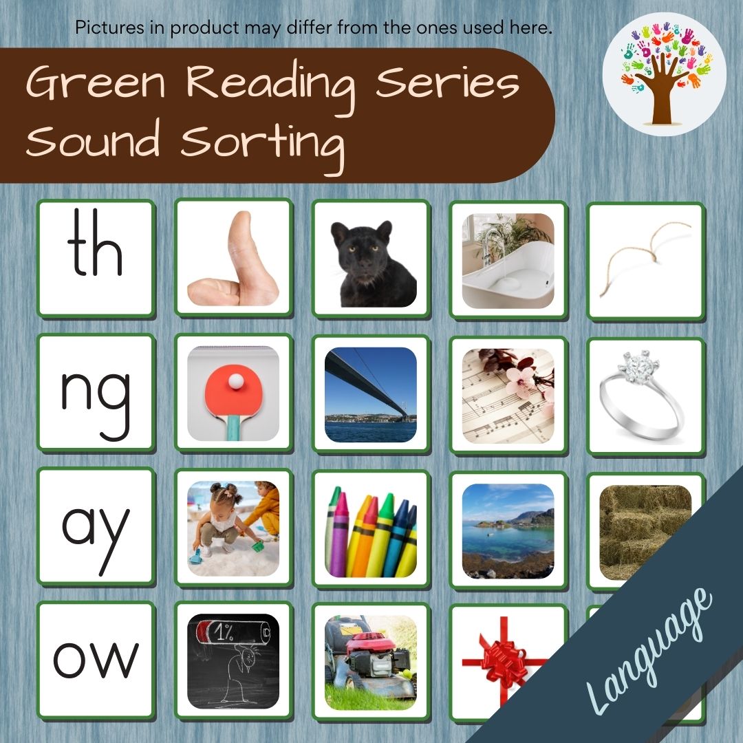 Phonogram Reading: Sound Sorting