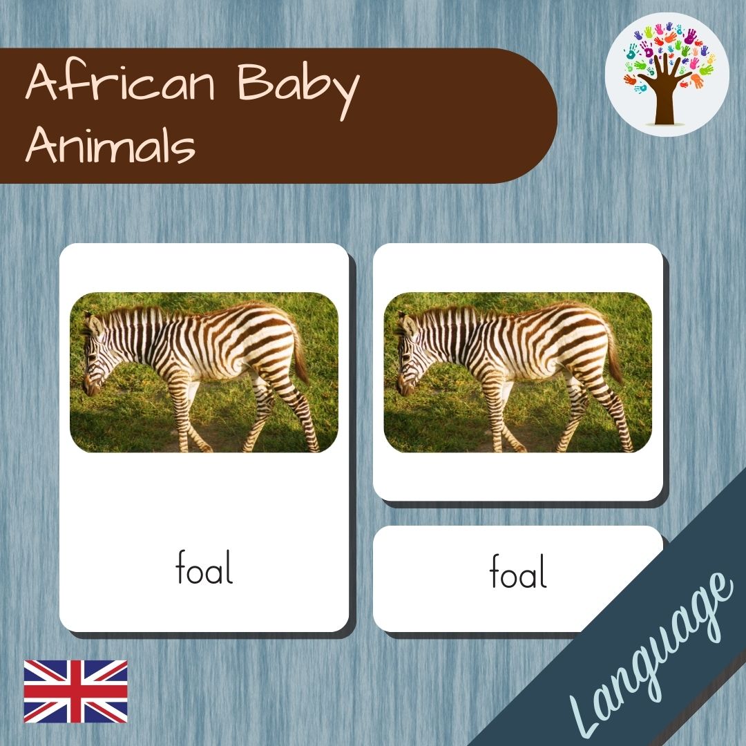 African Baby Animals