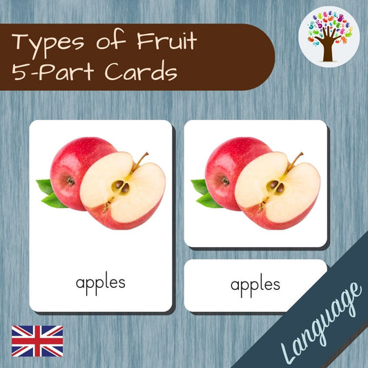 Types of Fruit