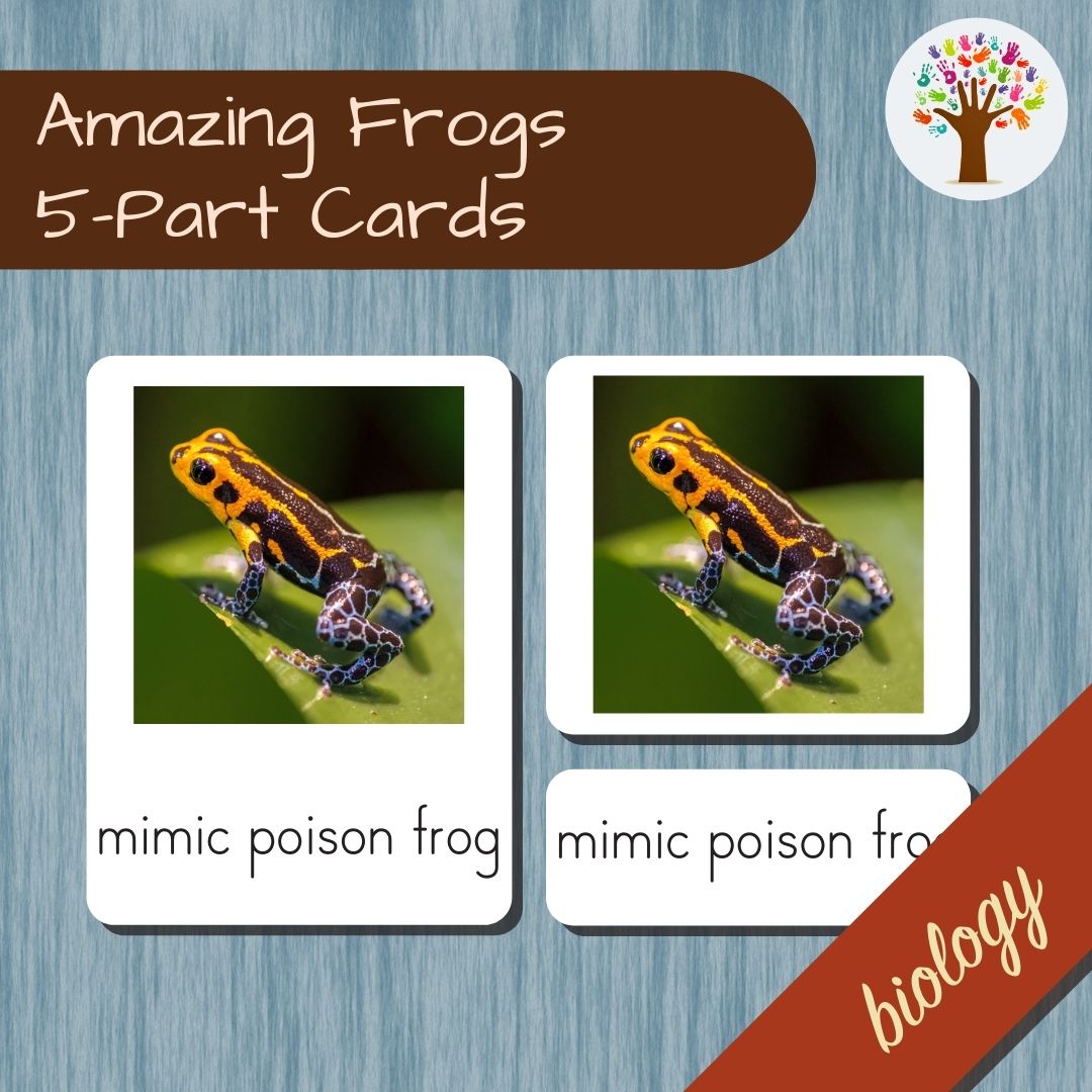 Amazing Frogs