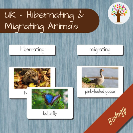 Hibernating and Migrating Animals - UK