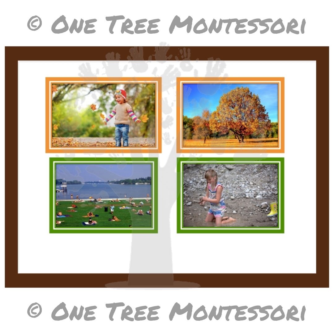 Four Seasons Cards - Free for Subscribers