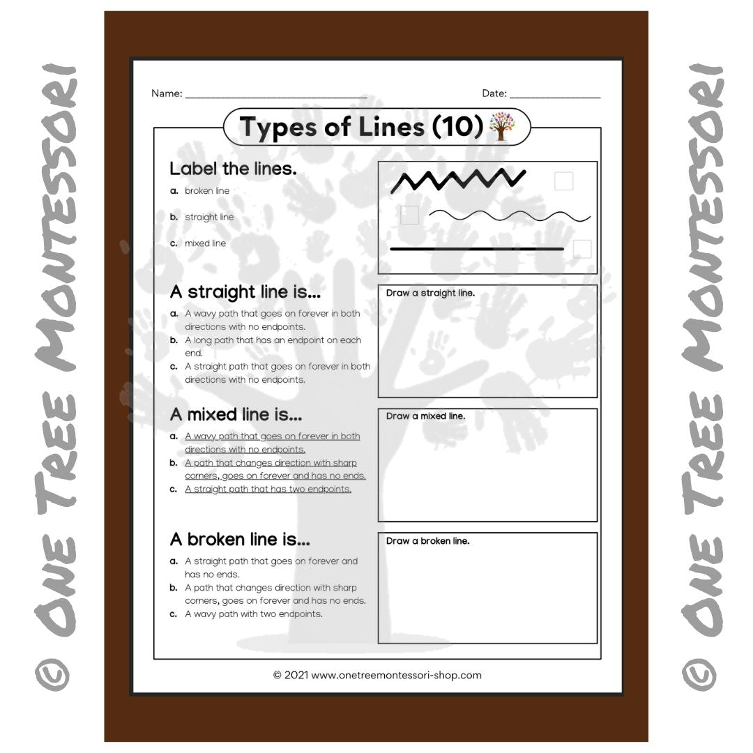 Different Line Worksheet.pdf Worksheet for Types of Lines - Free for Subscribers – One Tree ...