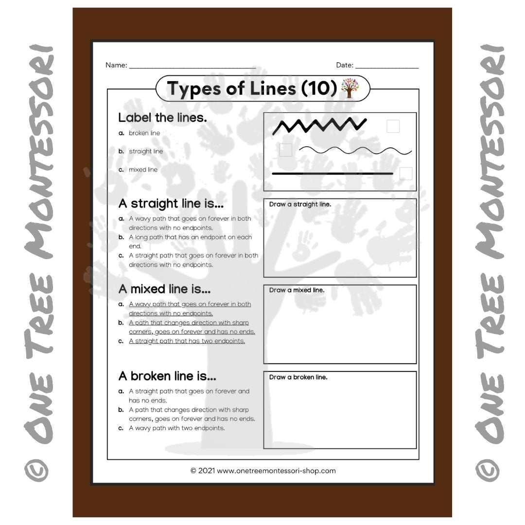Worksheet for Types of Lines - Free for Subscribers