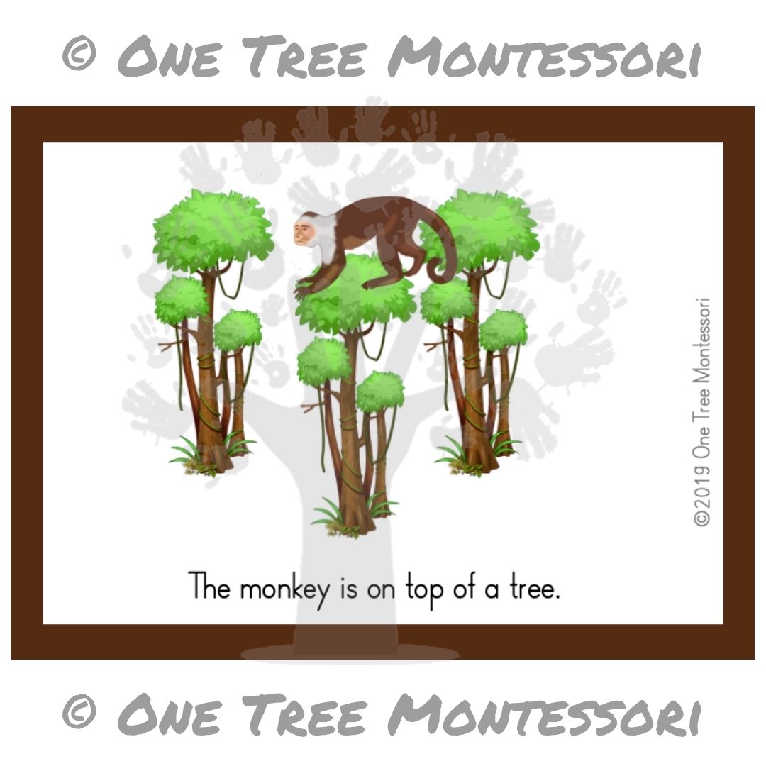 Es gibt einen Affen im Baum: Positionsspiel – kostenlos für Abonnenten