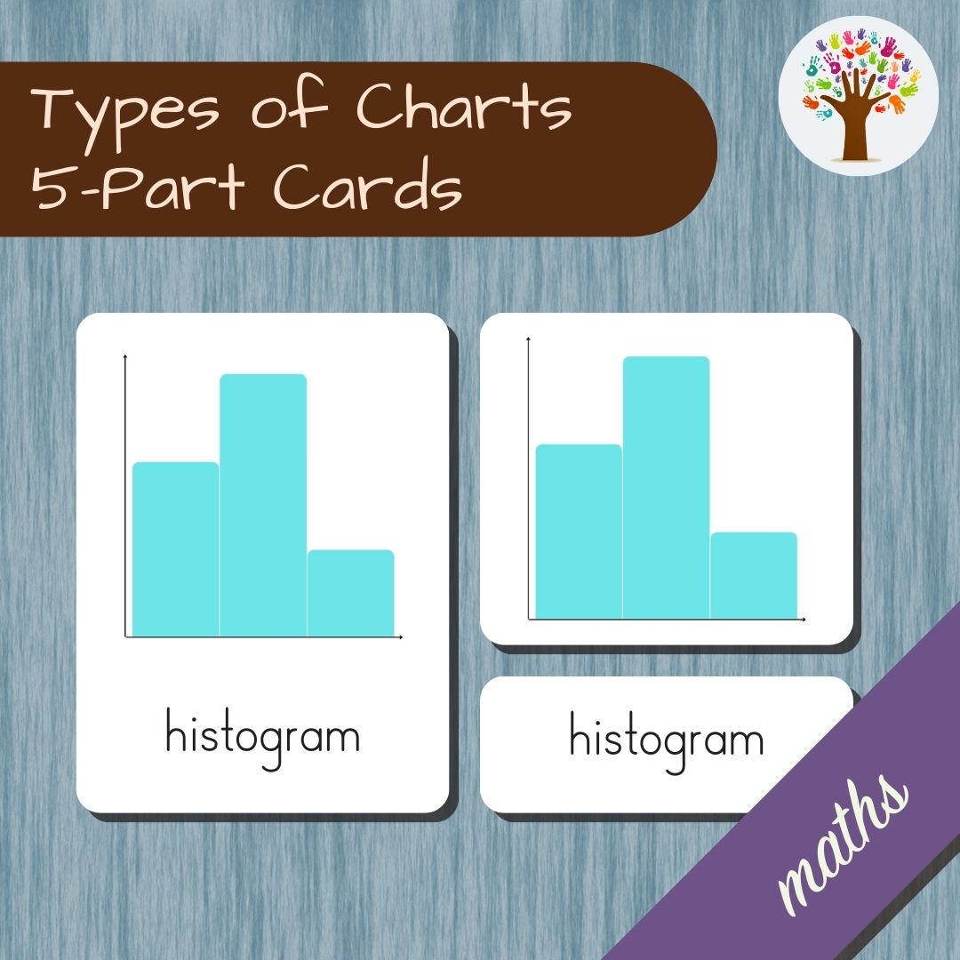 Types of Charts/Graphs – One Tree Montessori Pedagogical Systems