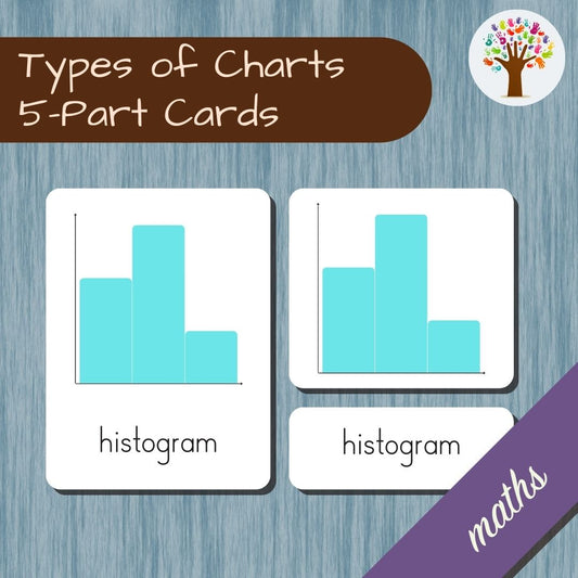 Types of Charts/Graphs