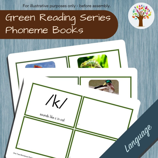 Phonogram Reading: Phoneme Booklets